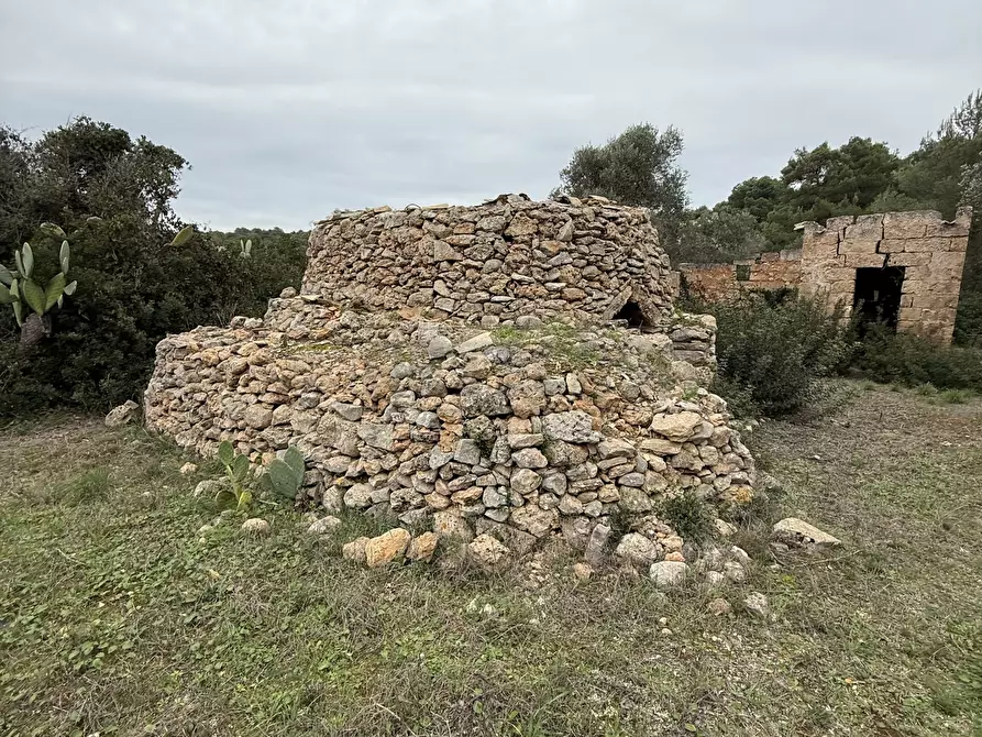 Immagine 12 di Casa indipendente in vendita  in SP286 102 a Nardo'