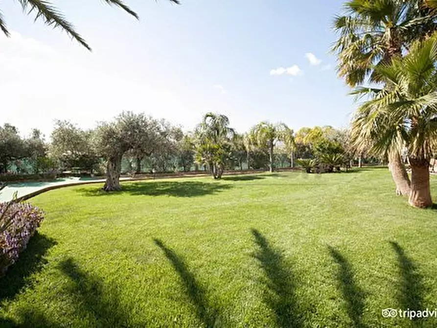 Immagine 88 di Villa in vendita  a Castelvetrano