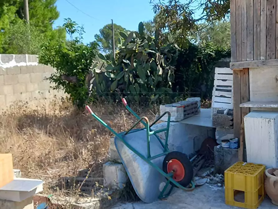 Immagine 8 di Terreno agricolo in vendita  a Maglie