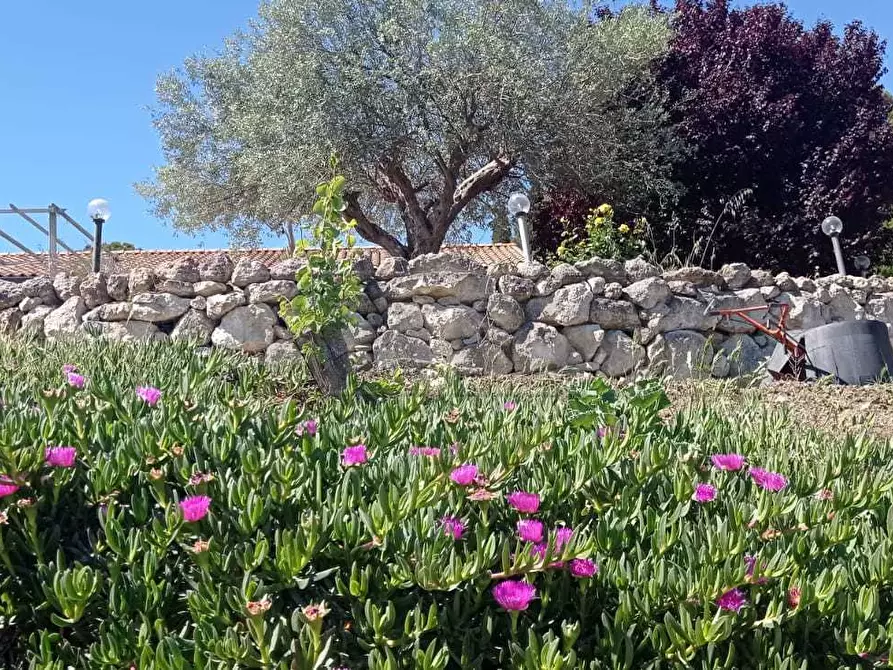 Immagine 8 di Villa in vendita  in CONTRADA PERCIATA a Caltanissetta