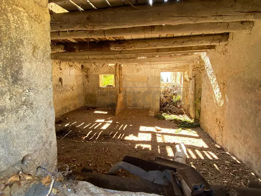 Immagine 6 di Rustico / casale in vendita  a Sarego