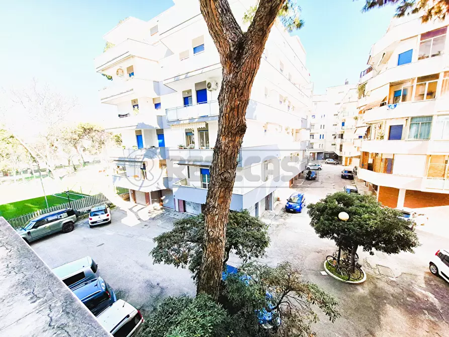 Immagine 10 di Bilocale in vendita  in Lungomare Giacomo Matteotti a Pescara