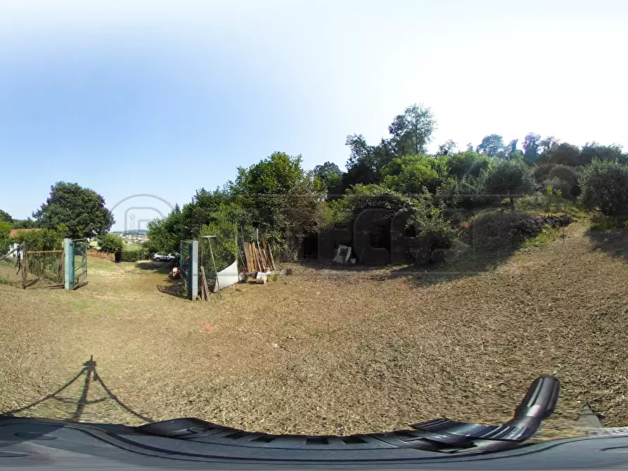 Immagine 49 di Terreno agricolo in vendita  in Via Bazziola a Monteviale