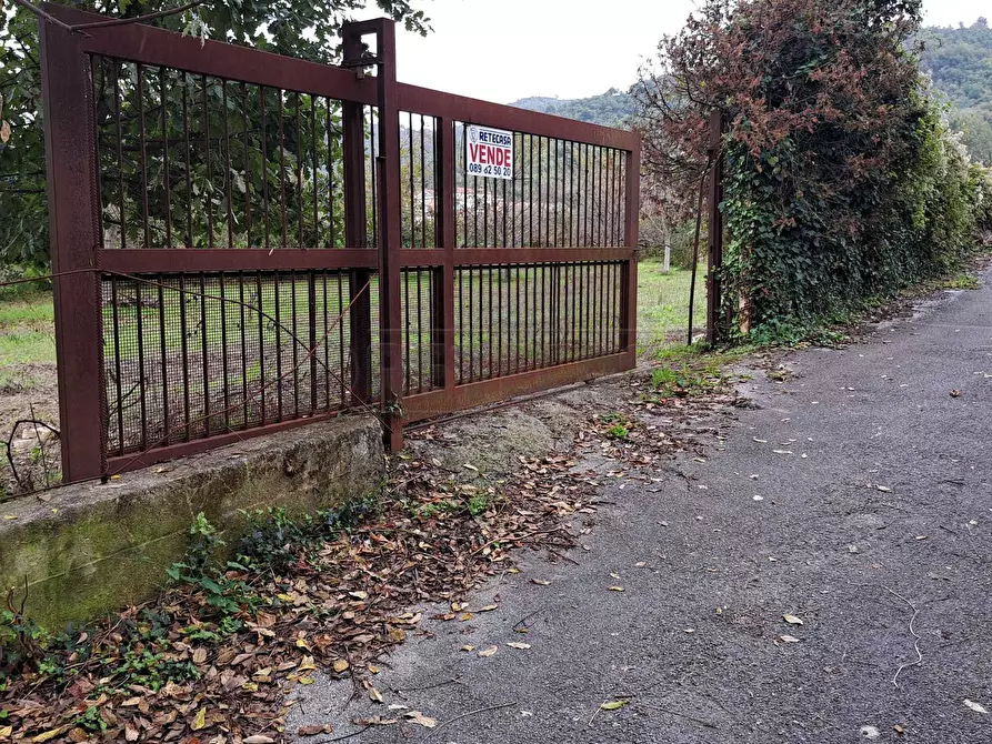 Immagine 1 di Terreno agricolo in vendita  a Mercato San Severino