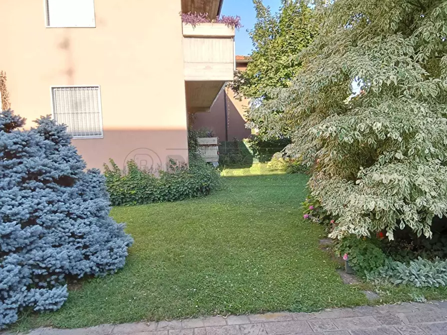 Immagine 4 di Quadrilocale in affitto  a Seriate