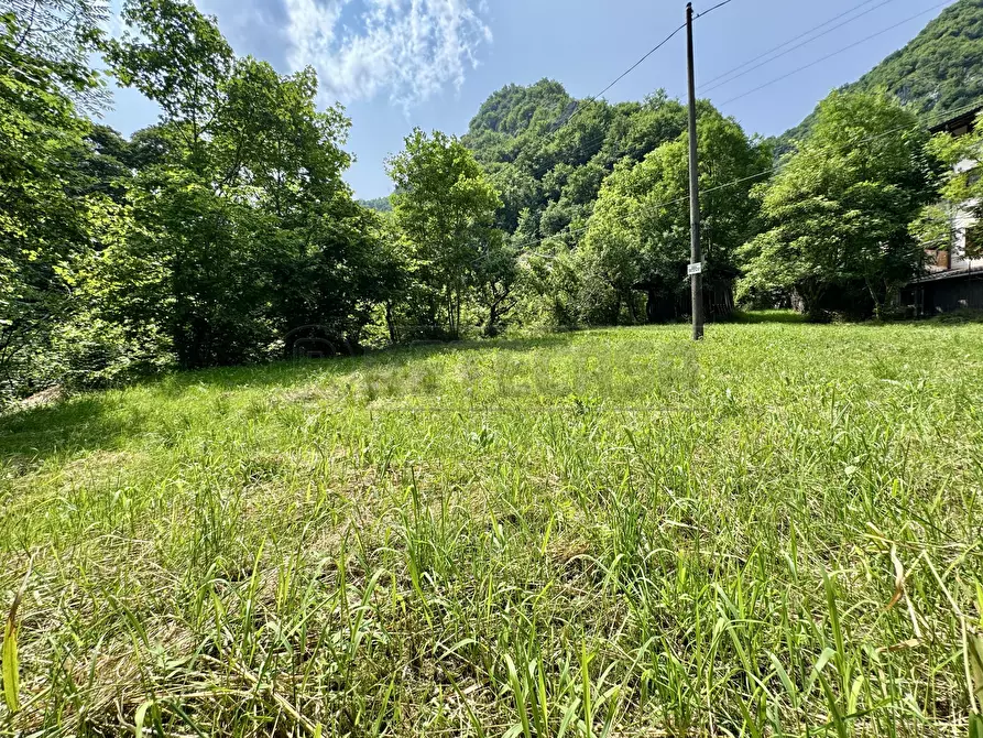 Immagine 12 di Casa semindipendente in vendita  in SP100 3 a Recoaro Terme