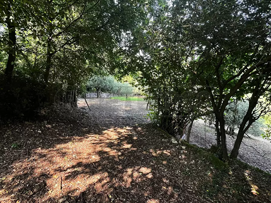 Immagine 19 di Terreno agricolo in vendita  in Via Bazziola a Monteviale