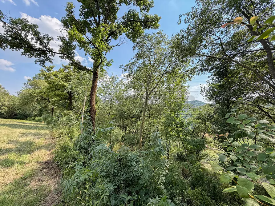 Immagine 14 di Terreno agricolo in vendita  in Via Castegnini di Sopra a Sovizzo