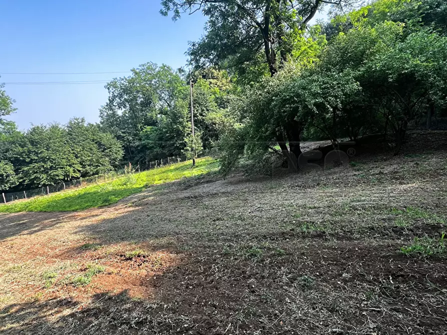 Immagine 22 di Terreno agricolo in vendita  in Via Bazziola a Monteviale