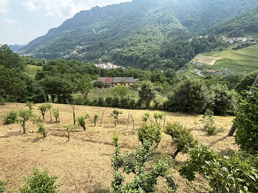 Immagine 10 di Magazzino in vendita  in Contrada Caneva di Sotto 52 a Recoaro Terme