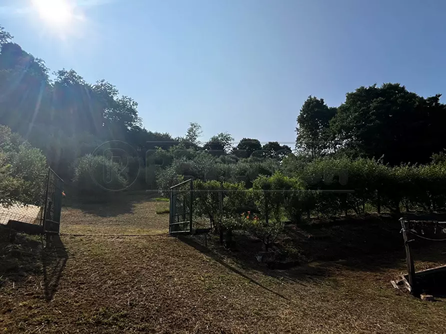 Immagine 12 di Terreno agricolo in vendita  in Via Bazziola a Monteviale