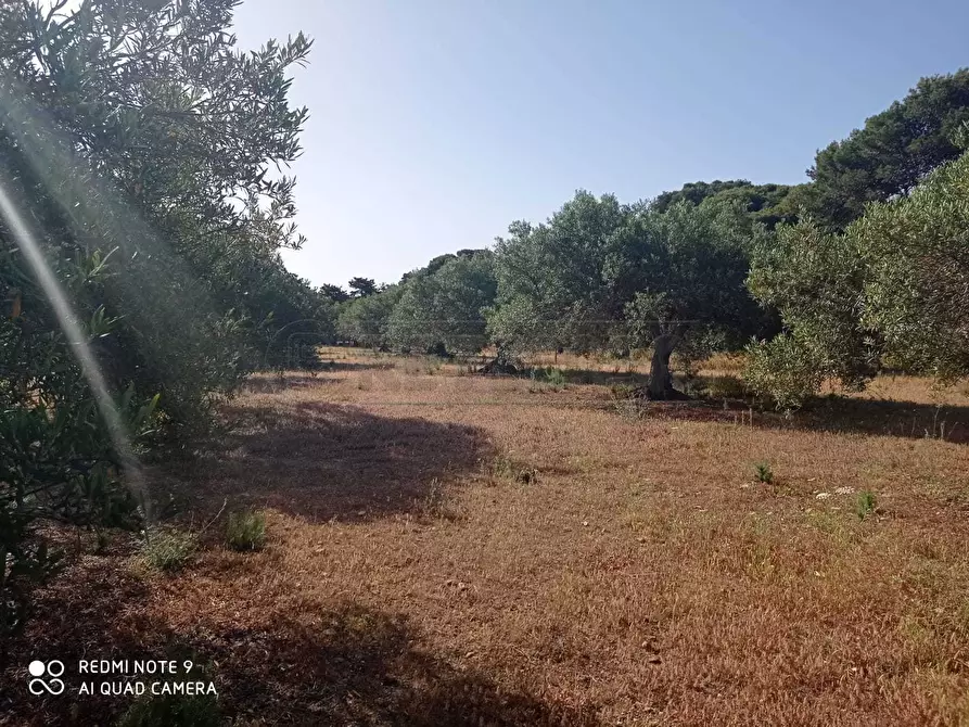 Immagine 56 di Villa in vendita  a Marsala