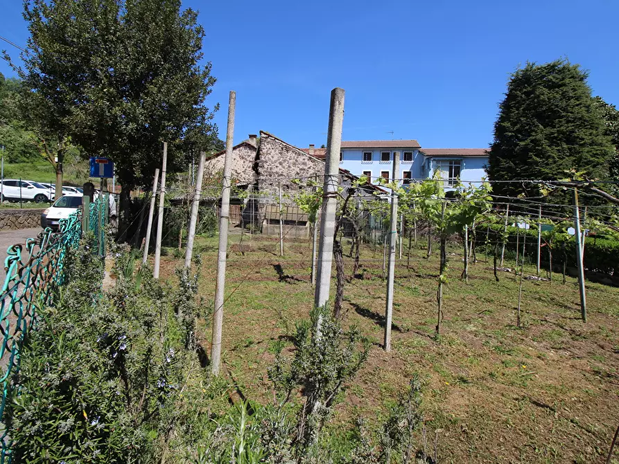 Immagine 29 di Rustico / casale in vendita  in Via Trento e Trieste 2 a Zermeghedo