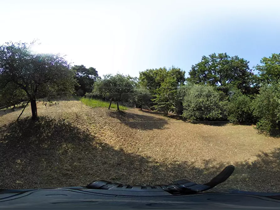 Immagine 53 di Terreno agricolo in vendita  in Via Bazziola a Monteviale