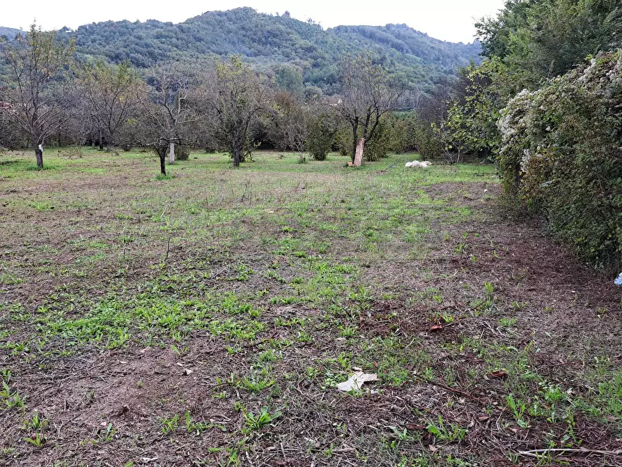 Immagine 4 di Terreno agricolo in vendita  a Mercato San Severino
