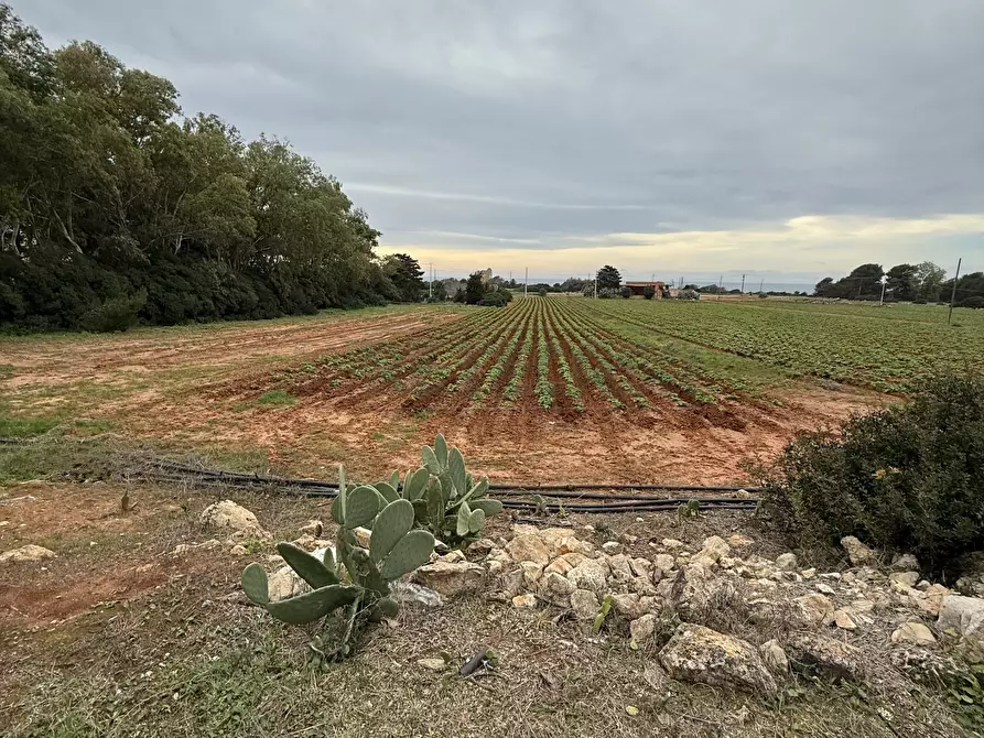 Immagine 11 di Casa indipendente in vendita  in SP286 102 a Nardo'