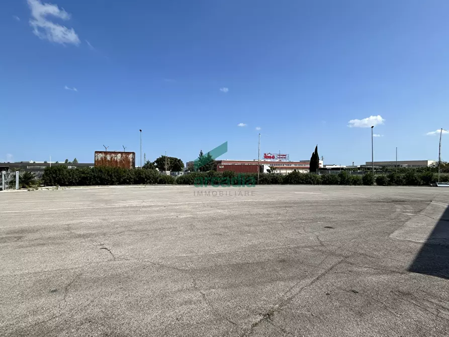 Immagine 28 di Attività artigianale in affitto  in SP231 98 a Terlizzi