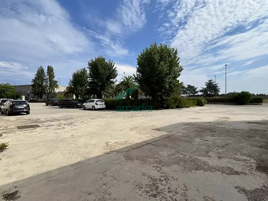 Immagine 11 di Attività artigianale in affitto  in SP231 a Bitonto
