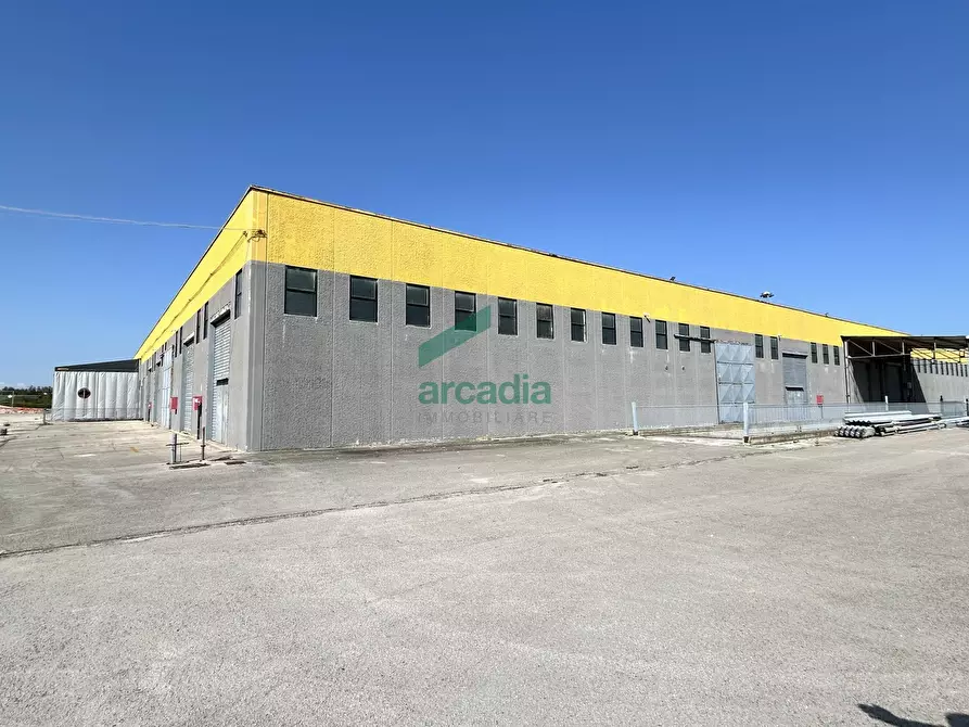 Immagine 9 di Attività artigianale in affitto  in SP231 98 a Terlizzi