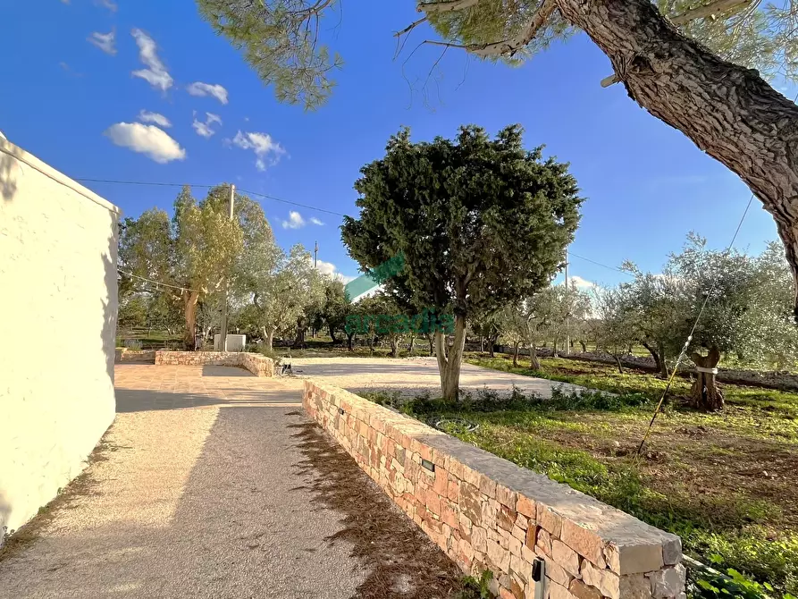 Immagine 43 di Rustico / casale in vendita  in Contrada Gorgofreddo 284 a Monopoli
