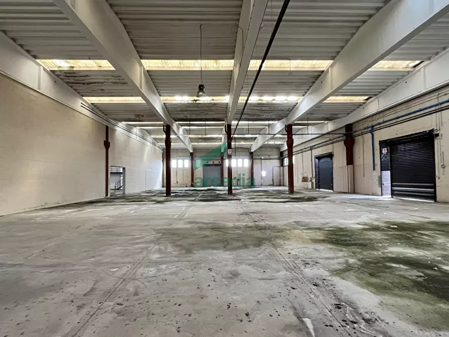 Immagine 8 di Attività artigianale in affitto  in SP231 KM 3,800 a Bitonto