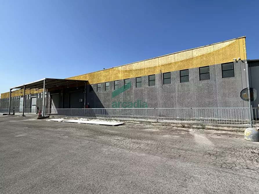 Immagine 7 di Attività artigianale in affitto  in SP231 98 a Terlizzi