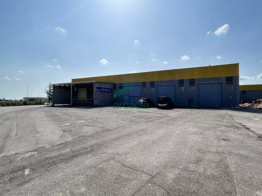Immagine 22 di Attività artigianale in affitto  in SP231 98 a Terlizzi