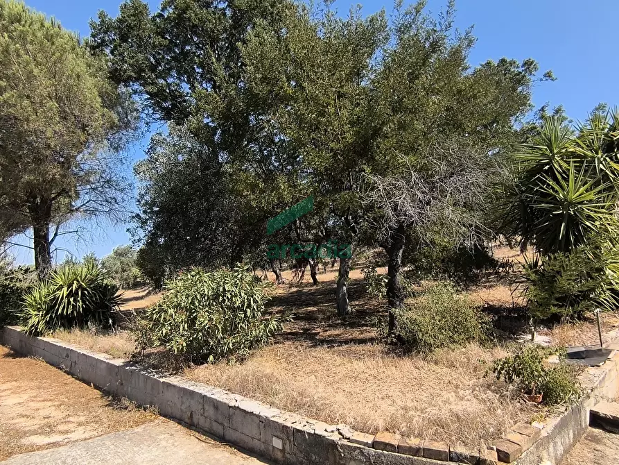 Immagine 22 di Villa in vendita  in Ctr. Ciminiera 62 a Monopoli