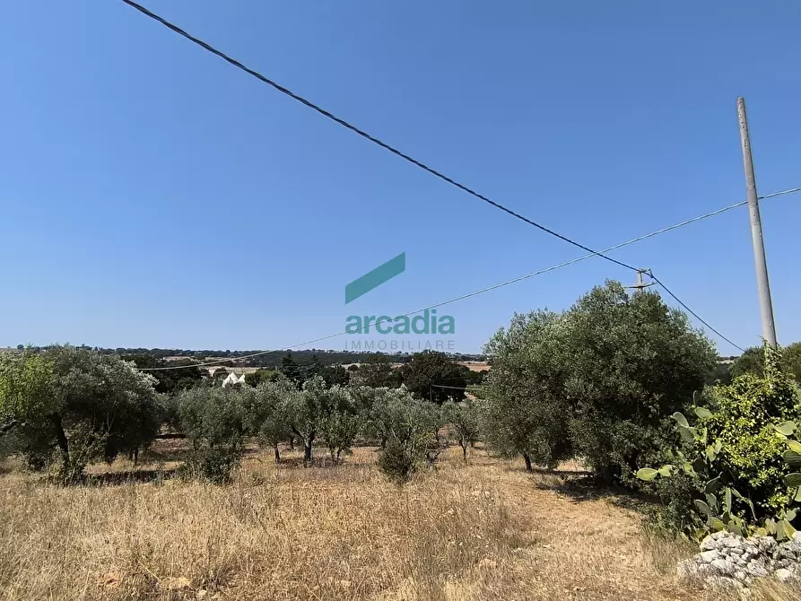 Immagine 23 di Villa in vendita  in Ctr. Ciminiera 62 a Monopoli