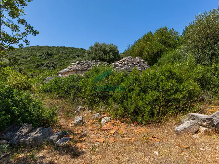 Immagine 26 di Rustico / casale in vendita  in Contrada Torchiano a Monopoli