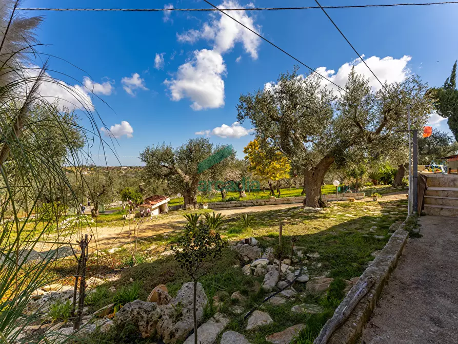Immagine 28 di Villa in vendita  in Strada Comunale della Contrada delle Guadiane 25 A a Castellana Grotte