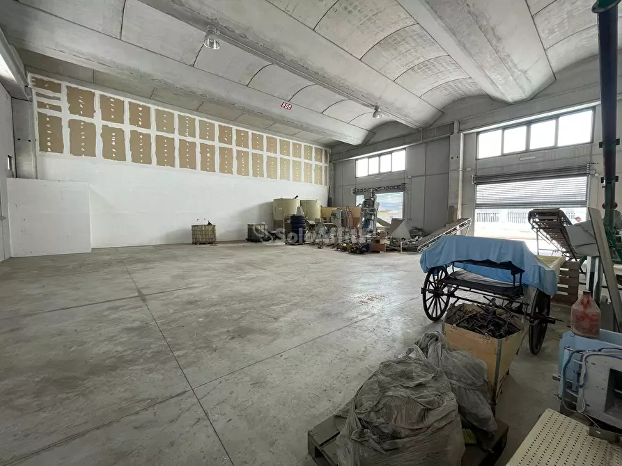 Immagine 9 di Capannone industriale in affitto  a Maddaloni