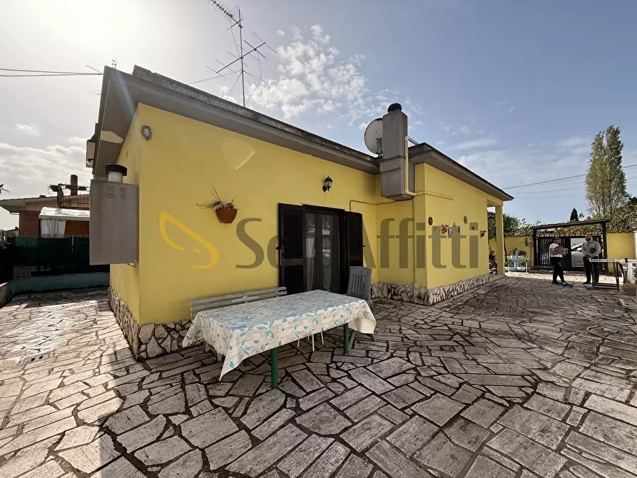 Immagine 21 di Villa in affitto  in Via Cittareale a Nettuno