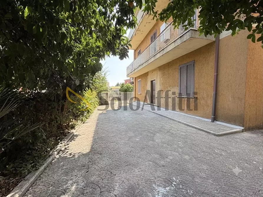 Immagine 11 di Bilocale in affitto  a Frosinone