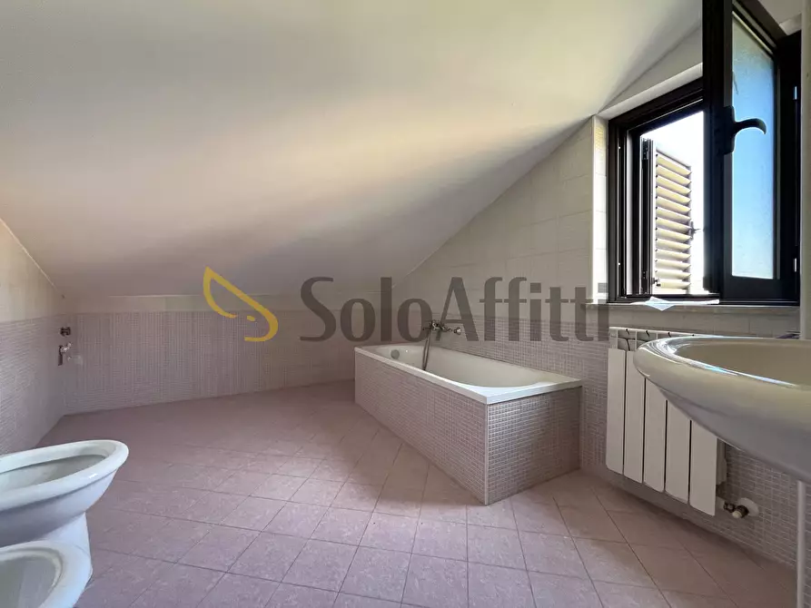 Immagine 11 di Villa in affitto  in Via Friuli 4 a Catanzaro