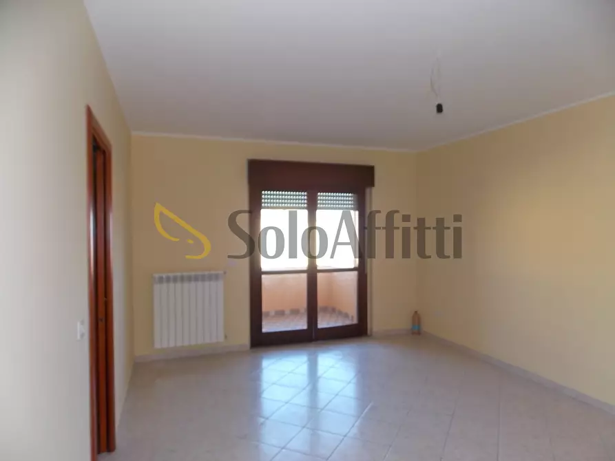 Immagine 5 di Trilocale in affitto  a Catanzaro