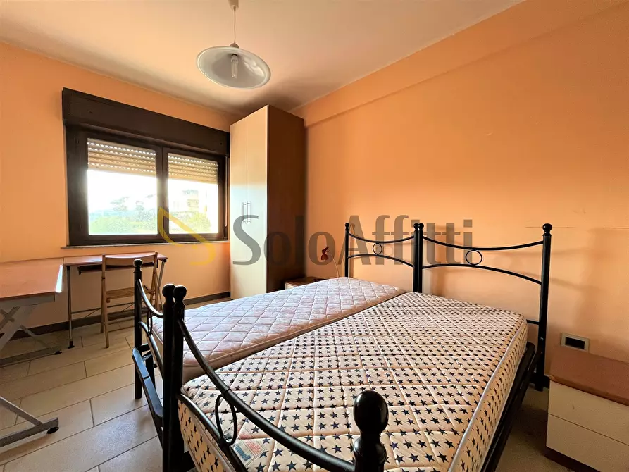 Immagine 4 di Trilocale in affitto  a Catanzaro