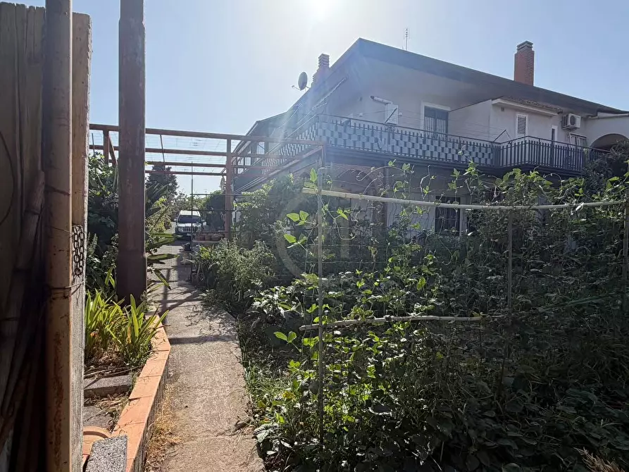 Immagine 13 di Appartamento in vendita  a Mascalucia