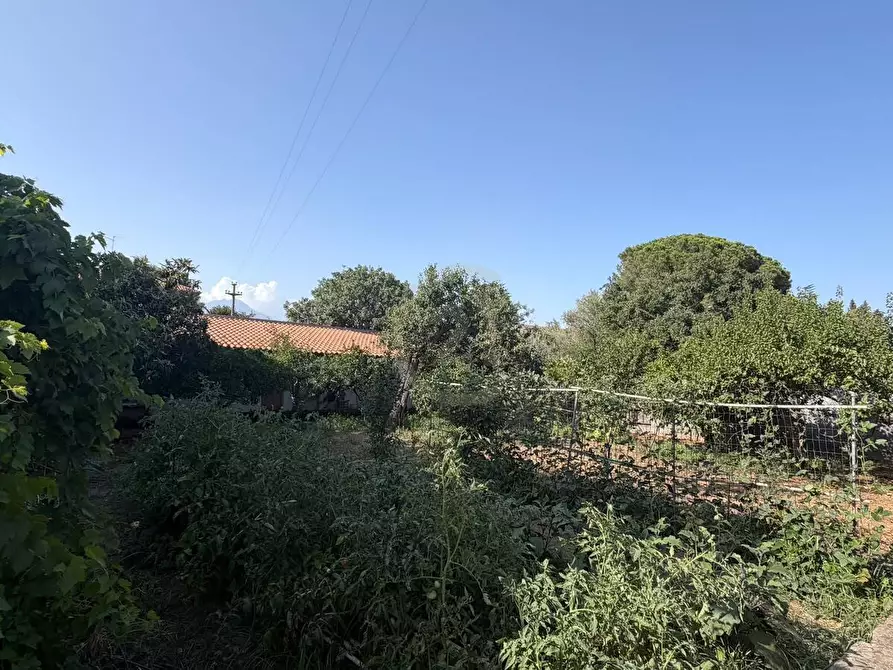 Immagine 4 di Appartamento in vendita  a Mascalucia