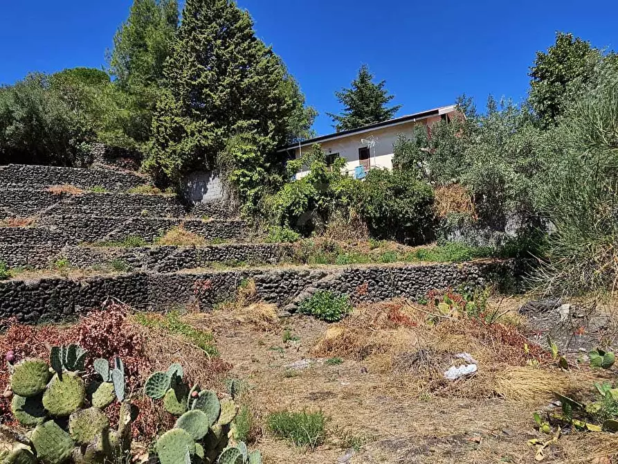 Immagine 4 di Terreno industriale in vendita  a Mascalucia
