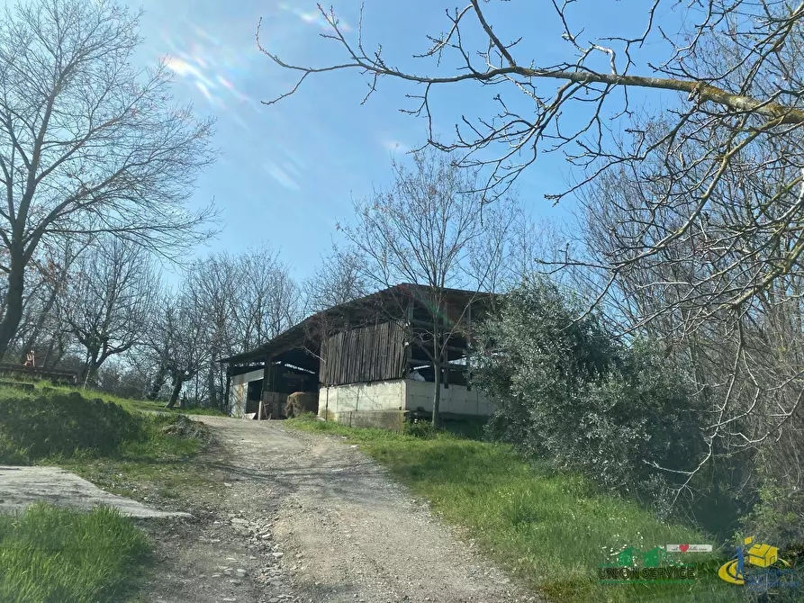 Immagine 16 di Terreno agricolo in vendita  in Miano a Medesano
