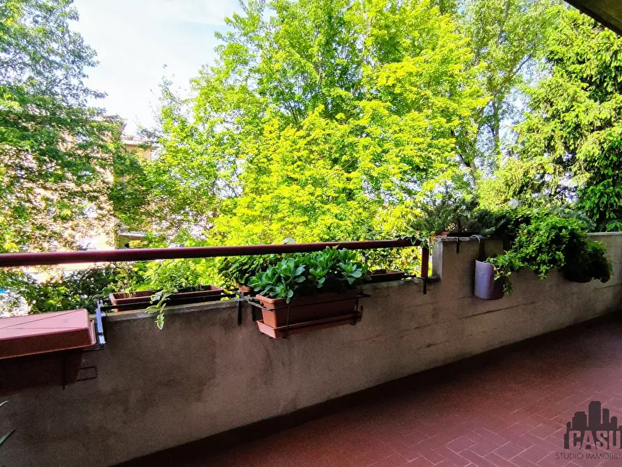 Immagine 6 di Trilocale in vendita  a Sorbolo Mezzani