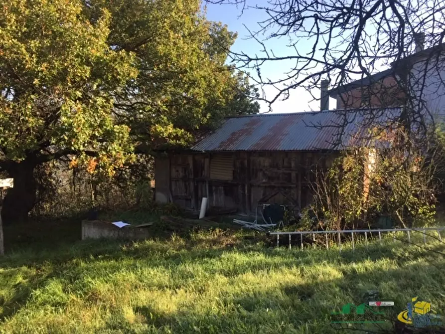 Immagine 2 di Terreno agricolo in vendita  in loc. Bezzo Bellini a Medesano