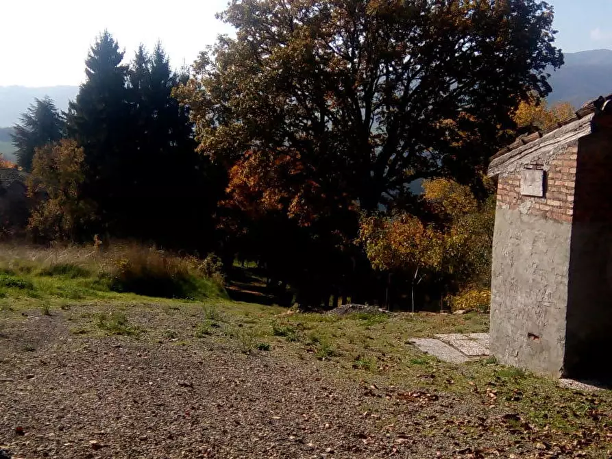 Immagine 25 di Casa bifamiliare in vendita  in Strada Canesio a Pellegrino Parmense