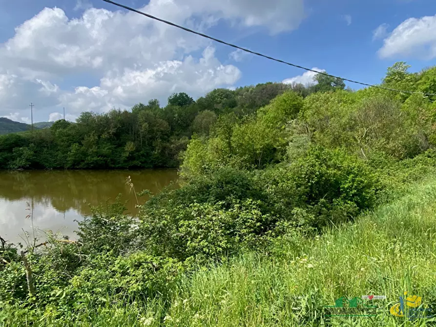 Immagine 38 di Casa indipendente in vendita  in Strada per Varano Marchesi 37 a Medesano