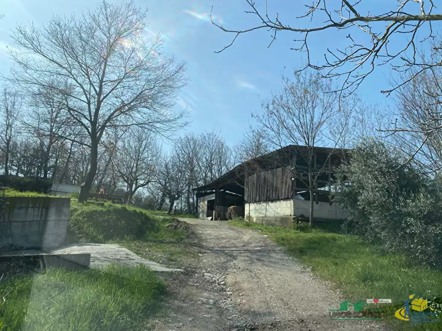 Immagine 17 di Terreno agricolo in vendita  in Miano a Medesano