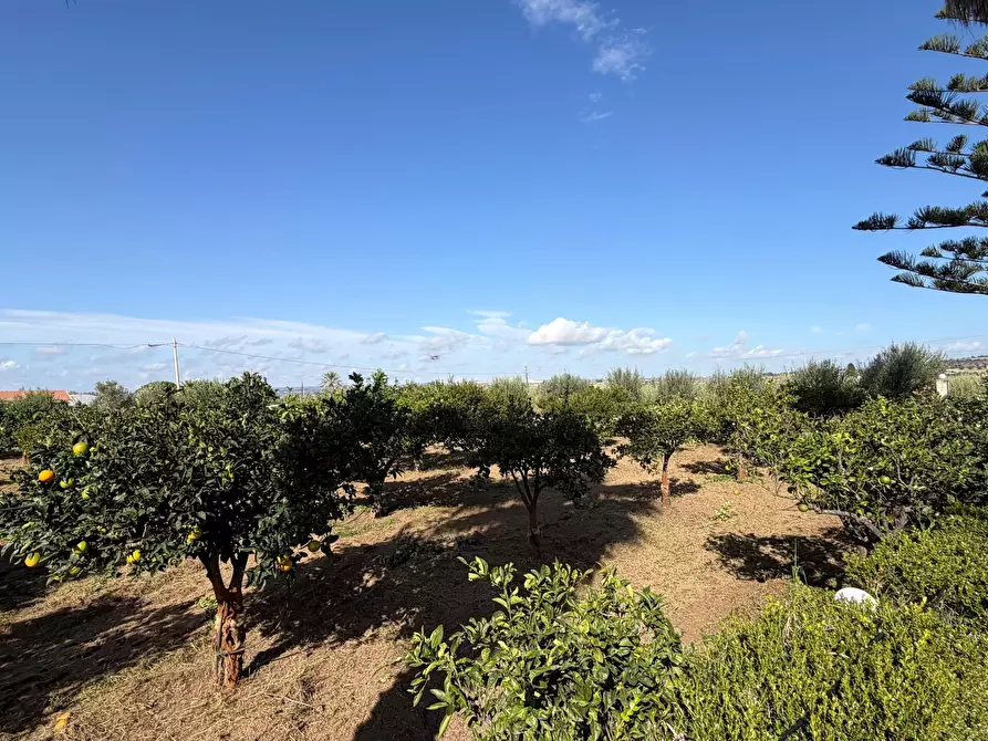 Immagine 9 di Villa in vendita  in Via del Giglio a Ispica