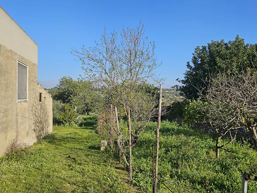 Immagine 18 di Casa indipendente in vendita  in Contrada Cozzo Rao sn a Scicli