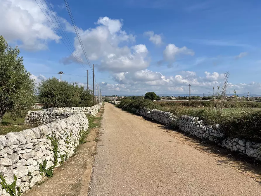 Immagine 6 di Terreno agricolo in vendita  in Via ciancia porta di ferro a Modica