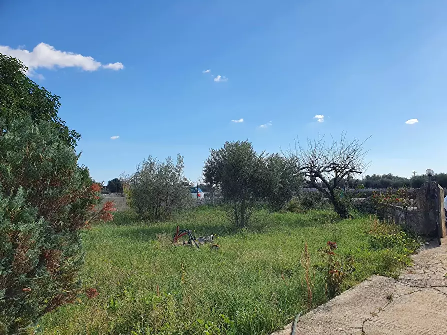 Immagine 21 di Villa in vendita  a Modica